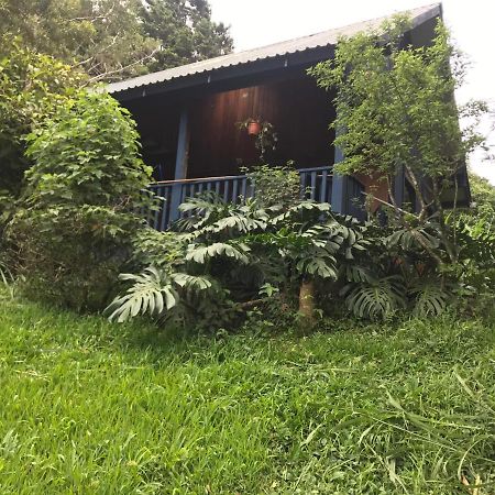 Hotel Casitas Rainy Days Monteverde Zewnętrze zdjęcie